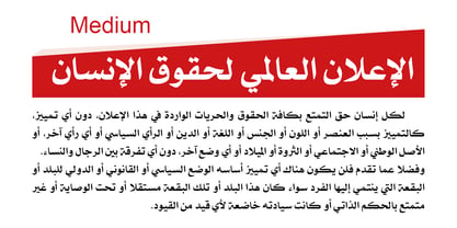 SF Sultan Font Poster 5