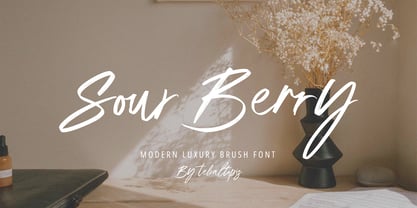 Sour Berry Signature Font Poster 1