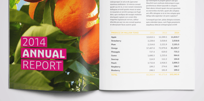 Graviola Font Poster 7