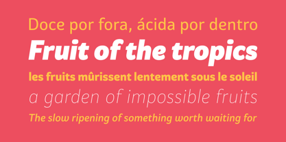 Graviola Font Poster 6