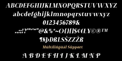 UM New Year Font Poster 2