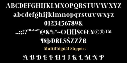 UM New Year Font Poster 5