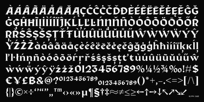 Bokner Font Poster 13