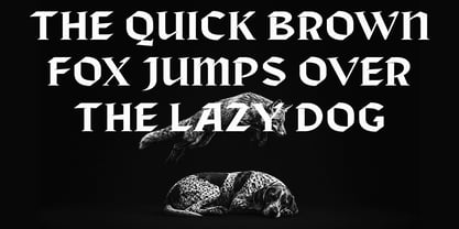 Bokner Font Poster 8