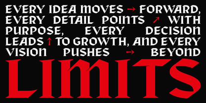 Bokner Font Poster 9