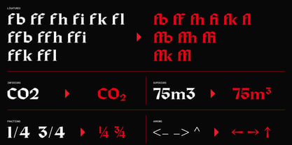 Bokner Font Poster 14