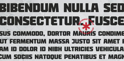 Jack Tiger Font Poster 4
