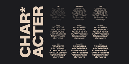 Gaglio Font Poster 7