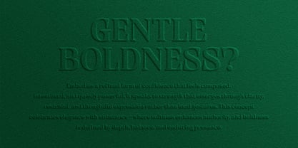 Belcino Font Poster 5