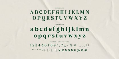 Belcino Font Poster 10