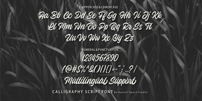 Wilzten Font Poster 6