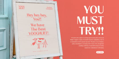 Ravlco Font Poster 3