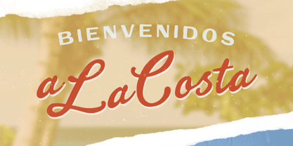 Sunset Palm Font Poster 2