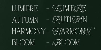 Atelier Blume Font Poster 10