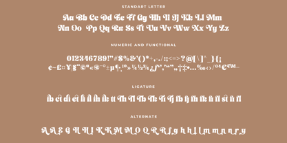 Pink Floryn Font Poster 13