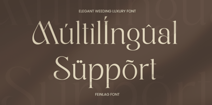 Feinlag Font Poster 12