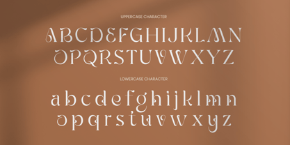 Feinlag Font Poster 10
