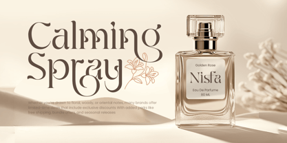 Feinlag Font Poster 4
