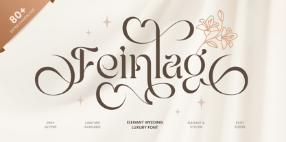 Feinlag Font Poster 1