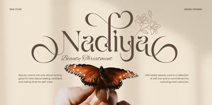 Feinlag Font Poster 2
