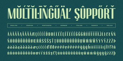 Nureta Font Poster 11