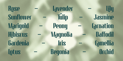 Nureta Font Poster 7