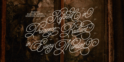 Daintyline Font Poster 2
