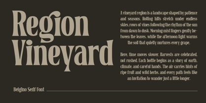 Belgino Font Poster 8
