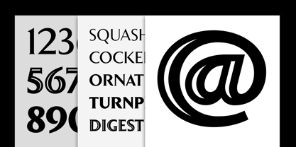 Clarice Font Poster 4