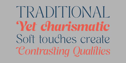 Cavellis Serif Font Poster 4
