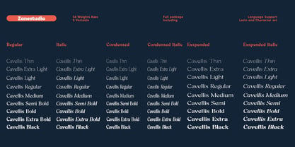 Cavellis Serif Font Poster 3