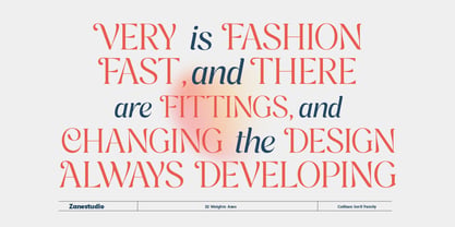 Cavellis Serif Font Poster 6