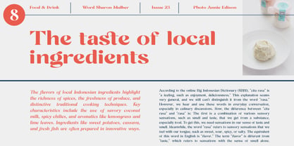 Cavellis Serif Font Poster 2