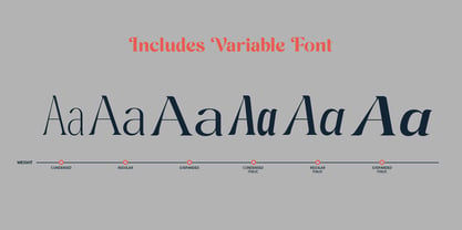 Cavellis Serif Font Poster 7