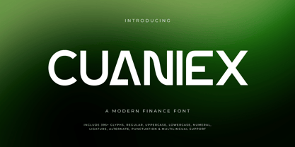 Cuaniex Font Poster 1