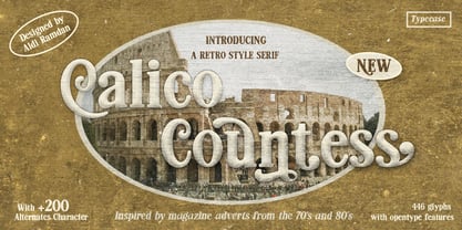 Calico Countess Font Poster 1