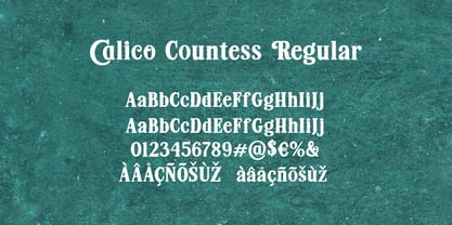 Calico Countess Font Poster 8