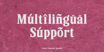 Calico Countess Font Poster 7