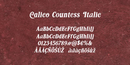 Calico Countess Font Poster 9