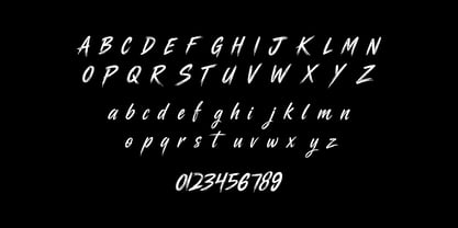 Raize Font Poster 4