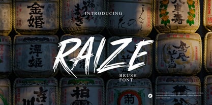 Raize Font Poster 1