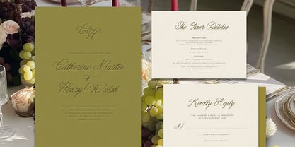 CS Maison Sezanne Font Poster 10