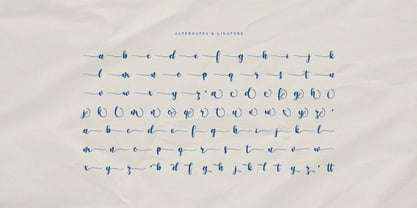 Shadenz Font Poster 10