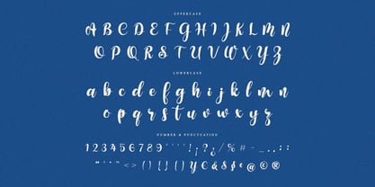 Shadenz Font Poster 9