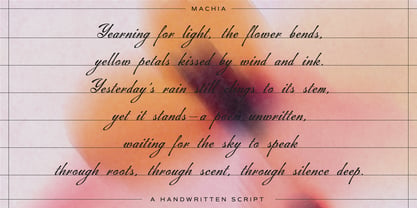 Machia Font Poster 9