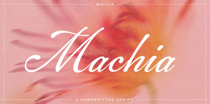 Machia Font Poster 1