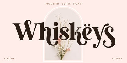 Whiskeys Font Poster 1