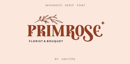 Whiskeys Font Poster 2