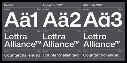 Alliance Neue Font Poster 8