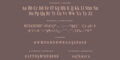 Rinella Font Poster 10